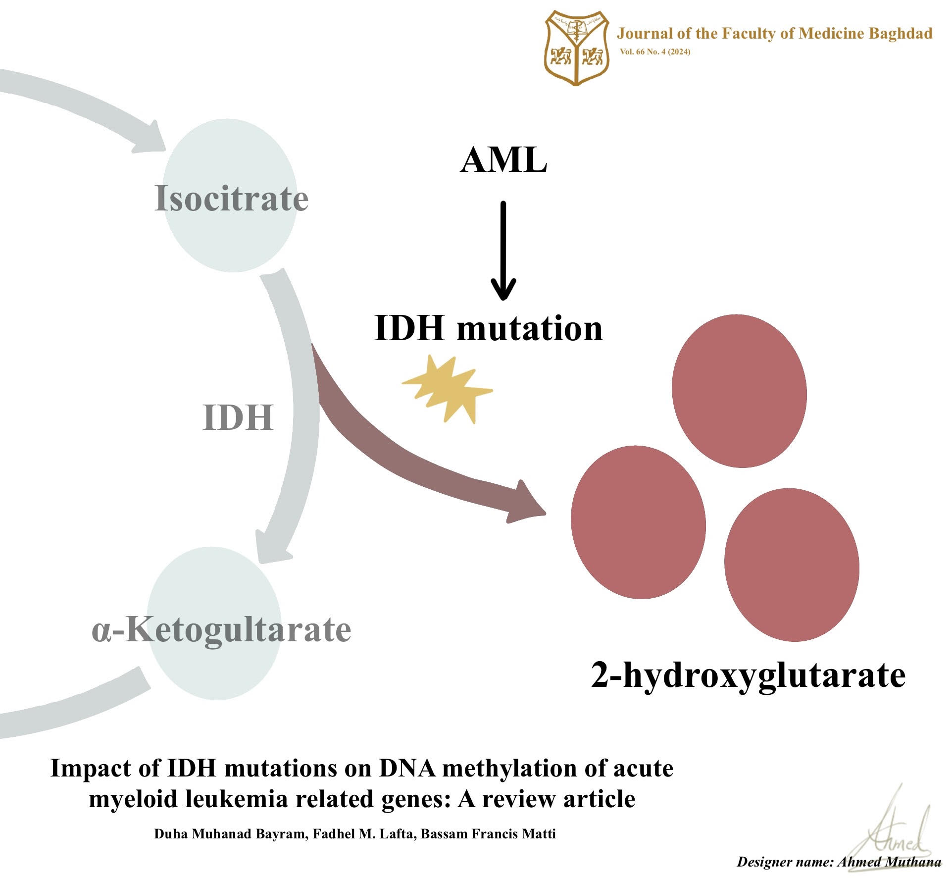 AML; , DNA methylation; , DNA methyltransferases; , IDH;, isocitrate dehydrogenase; , targeted therapy; , TET proteins;