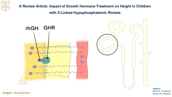 Growth hormone, Rickets, Short stature , X-linked dominant, X-Linked Hypophosphatemic.