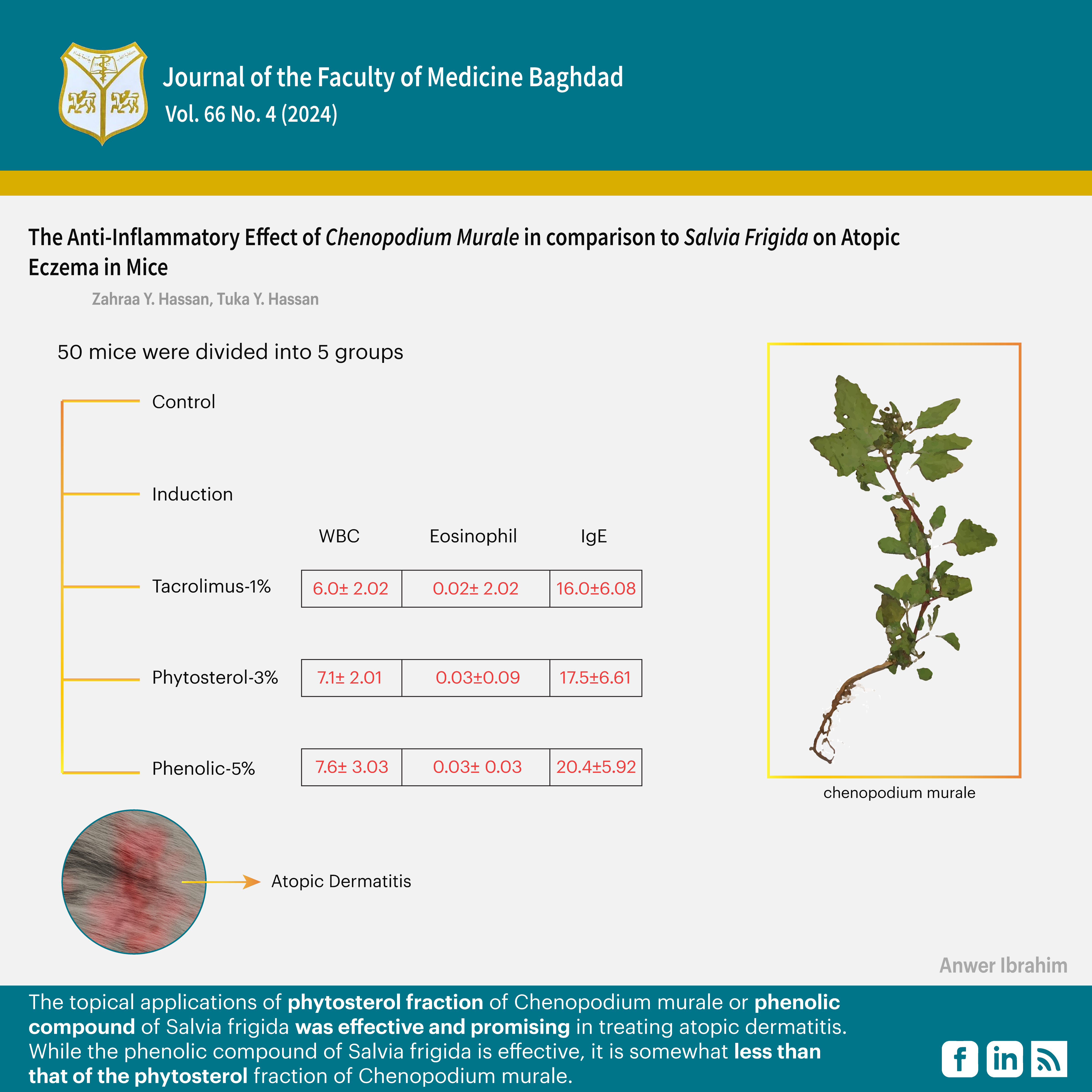 Atopic dermatitis, Chenopodium murale, Phenolic compound, Salvia frigida, Tacrolimus