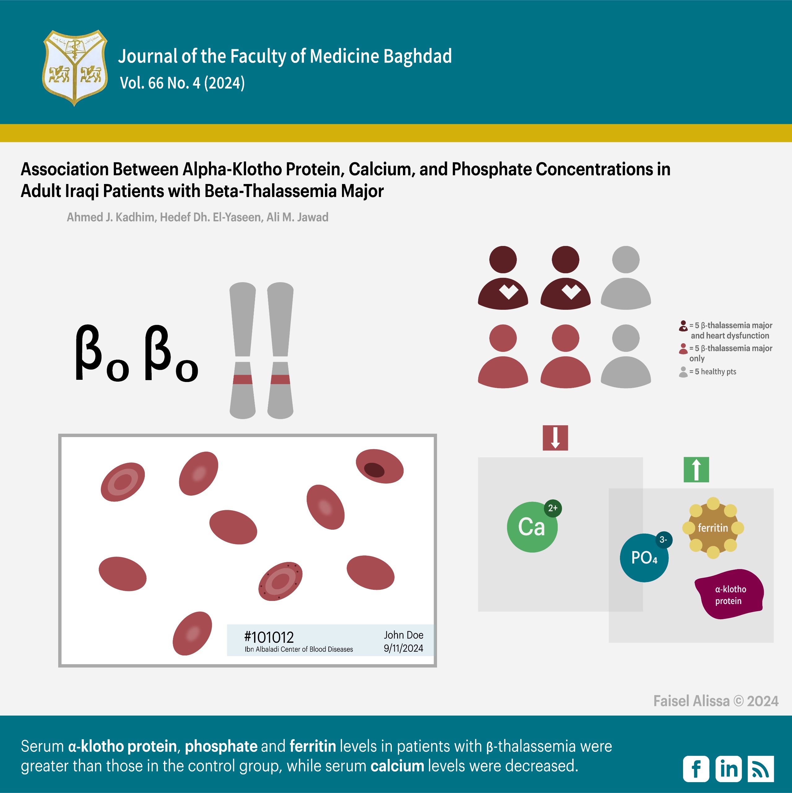 Alpha-Klotho Protein, klotho, phosphate, calcium, thalassemia, Ferritin