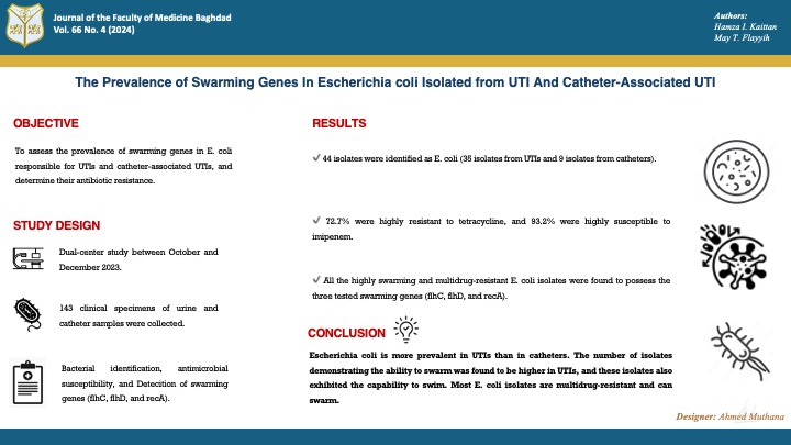 Escherichia coli; Swarming motility; recA; flhC; flhD.