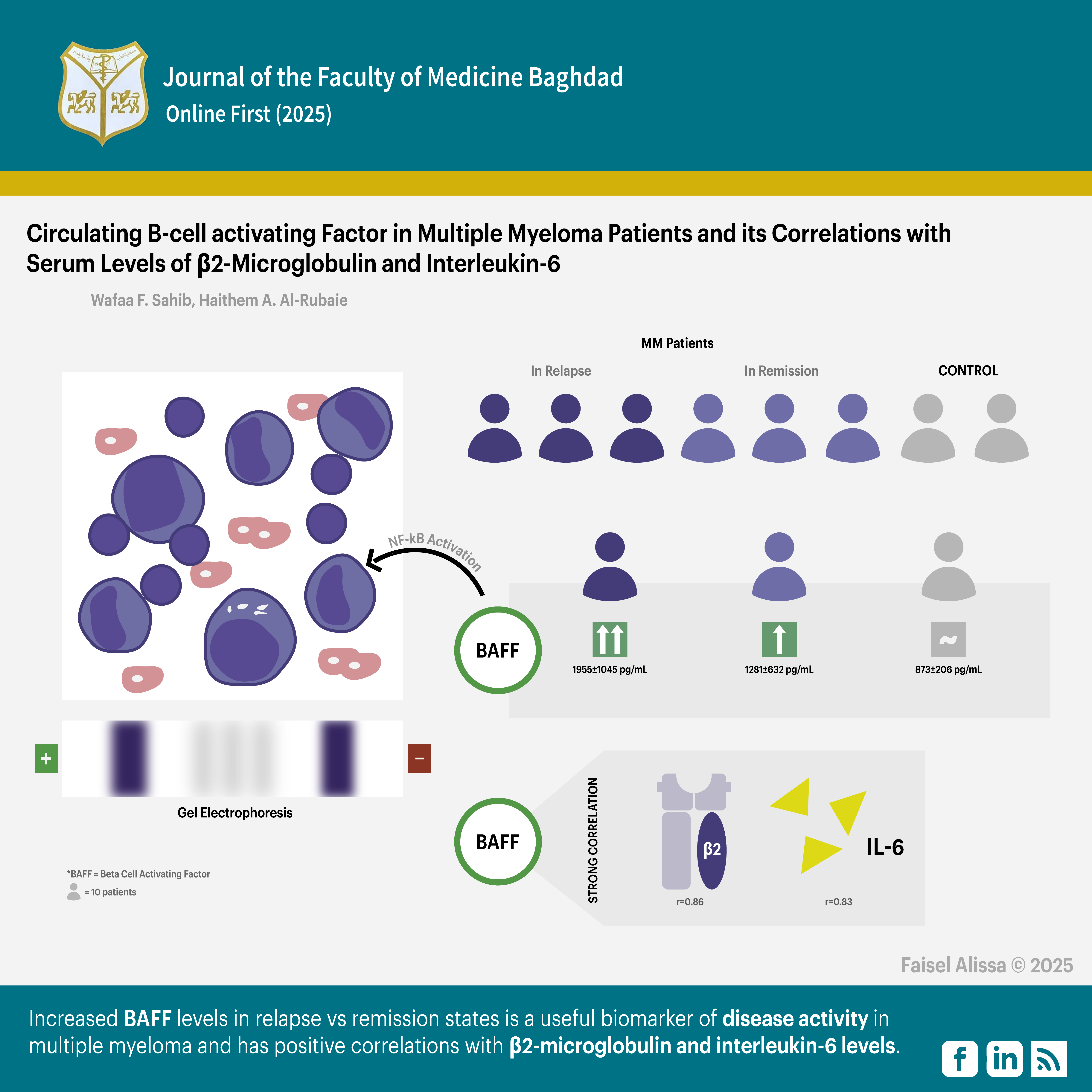 B-cell activating factor; β2-microglobulin; Clinical stage; Interleukin -6; Multiple myeloma.