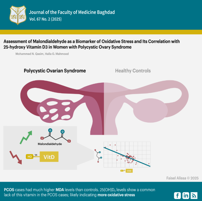 Body Mass Index; Malondialdehyde; Oxidative Stress; Polycystic Ovary Syndrome; Vitamin D3 Deficiency
